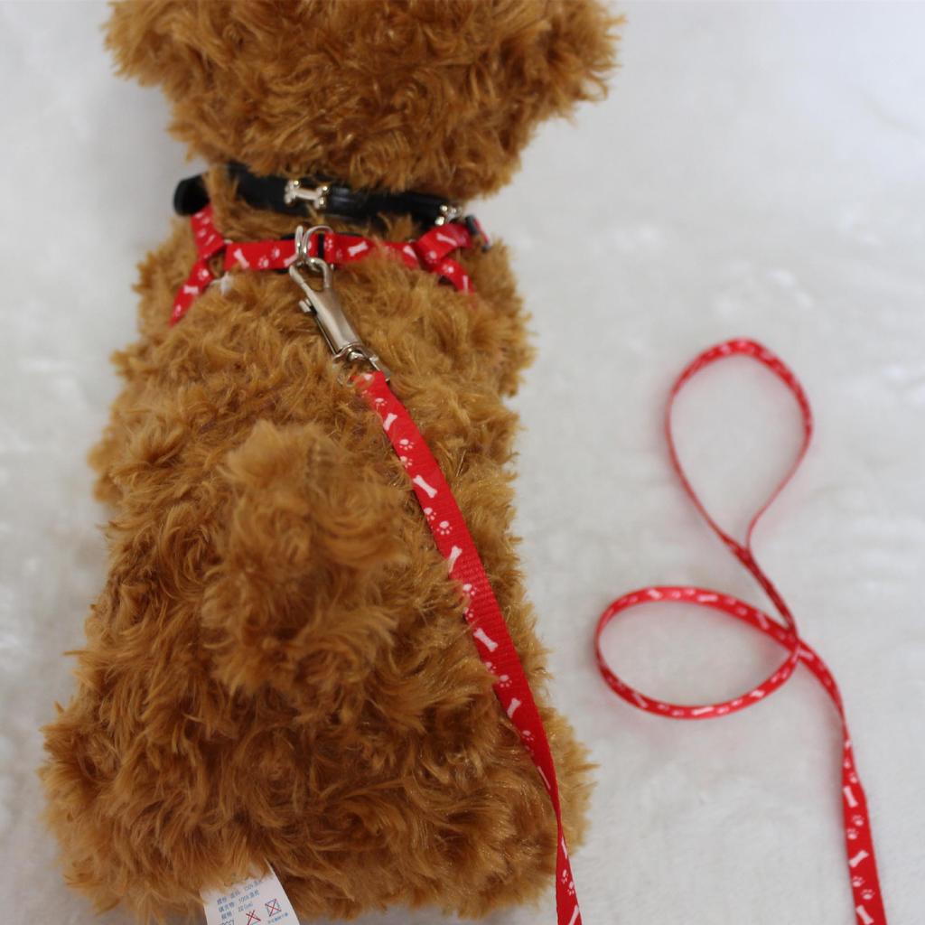 Pet Printed Chest Harness with 120cm Leash for Dogs, Cats, and Rabbits