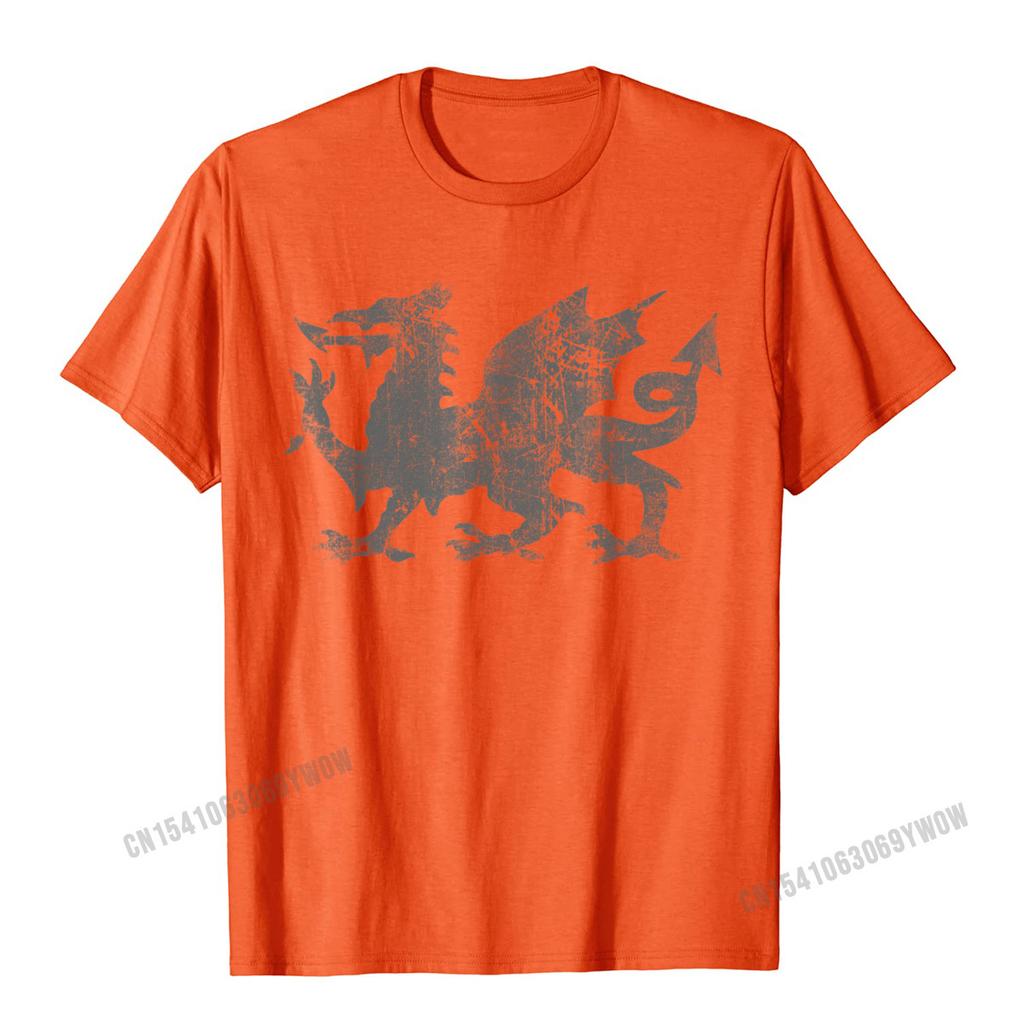 Welsh Flag Heraldry Dragon Welsh Soccer St Davids Day Wales TShirt Camisas Unisex 3D Printed Top TShirts For Adult Tops Tees