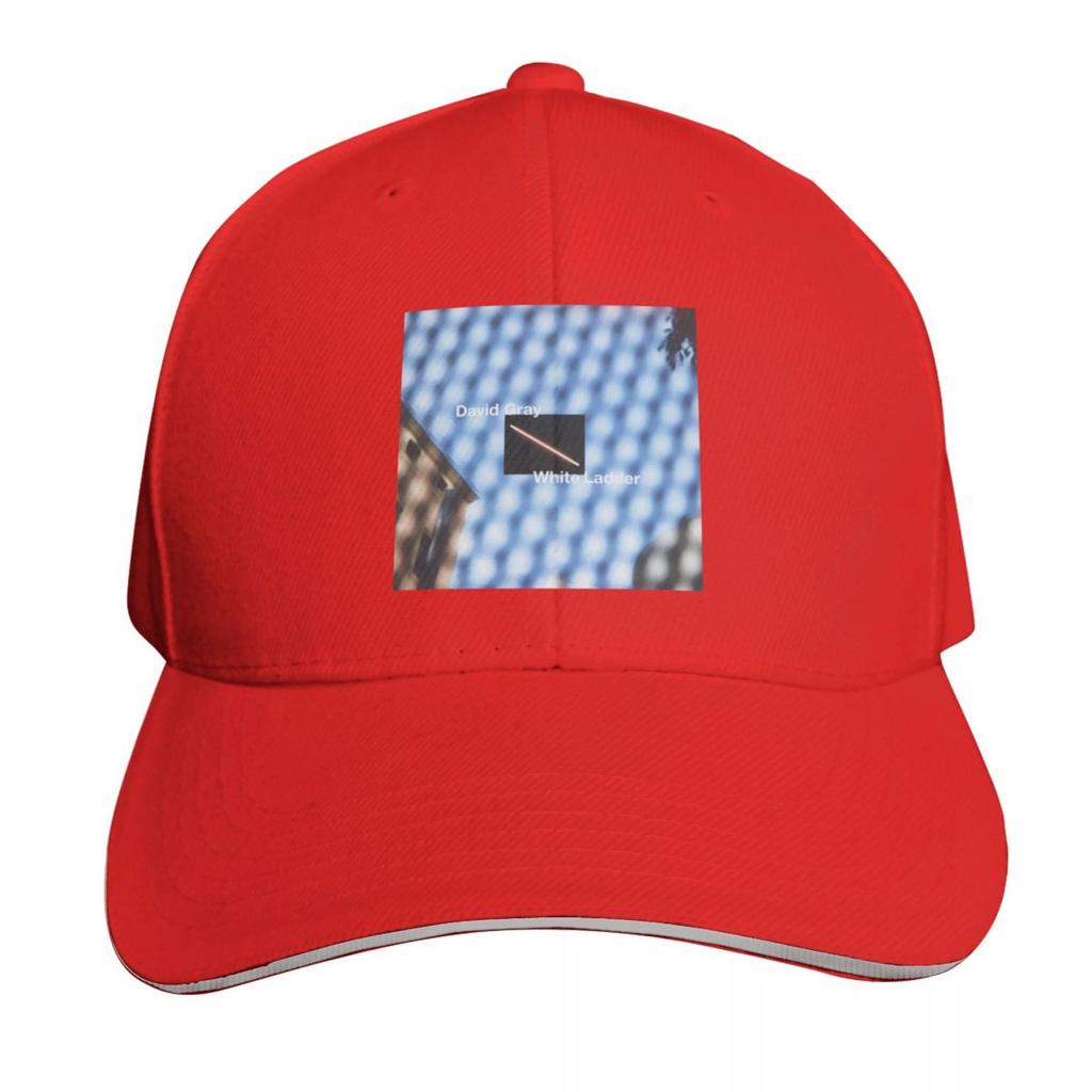 David Gray White Ladder Baseball Cap Wild Ball Hat Custom Hat Dad Hat Derby Ladies Unisexs