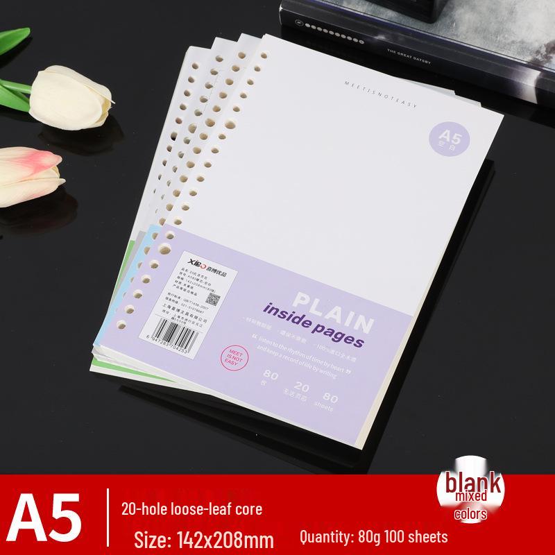 Detachable Transparent Multi-Hole Loose-Leaf Notebook with Lined Grid Pages