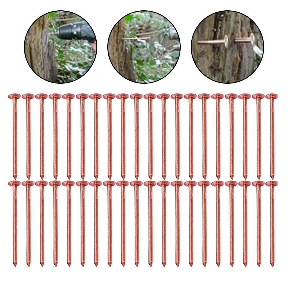 Copper Tree Stump Killer Stump Removal Spikes Fast Acting Solution