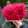 1M Natural Ostrich Feathers Trim White Clothing Sewing Ribbon 8-10cm Feather Fringe for Wedding Party Decoration Crafts Plumes