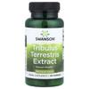 Tribulus Terrestris Extrakt, 500 mg, 60 Kapseln