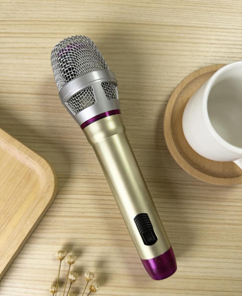 B336 Professional Wired Dynamic Karaoke Microphone