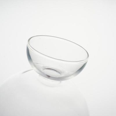 Kleine Avocado-Pflanzvase Hitzebeständig Einfache Avocado-Hydrokulturflasche Exquisiter Transparenter Anzuchtbehälter