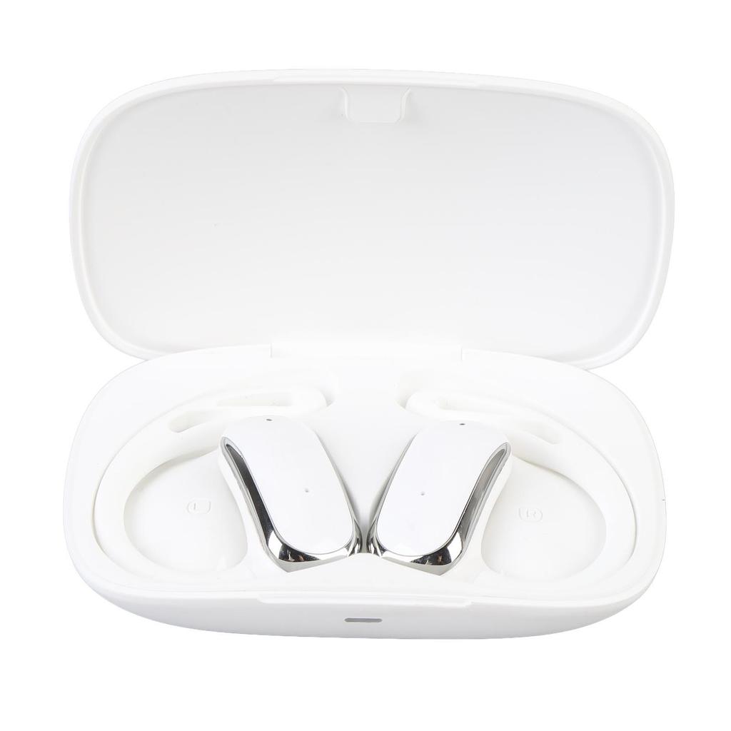 Translation Earphone 142 Languages Real Time Translator Earbuds for Travel Business Negotiation