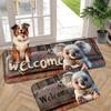 1PC Tappetini d'ingresso carini Koala Benvenuto Tappeti da cucina Antiscivolo Design Pop Tappeti per soggiorno Tappetino da bagno Tappeto per casa Lavandino Lavanderia Decorazione