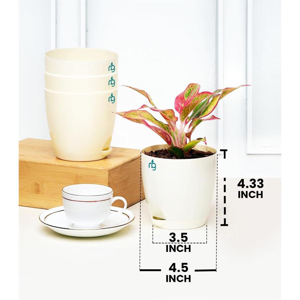 Combo of 6 Self Watering Flower Pots for Plants | Plastic Plant Pots | Planter Pots for Home, Indoor Living Room,Garden
