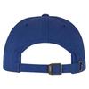 Flexfit Unisex Adult Classic Cotton Twill Low Profile Baseball Cap