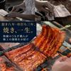 Hamanako Unagi Tanaka Mother's Day Gift Box Grilled Eel 2 Pieces 170–190g Cut Unagi with Mother's Day Card