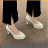 Autumn 2024 New High Heels Female Minority Shallow Mouth Thick with Temperament Fairy Wind Single Shoes Female