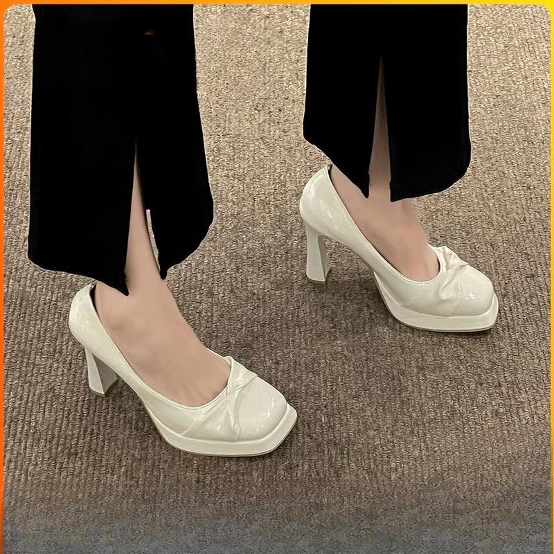 Autumn 2024 New High Heels Female Minority Shallow Mouth Thick with Temperament Fairy Wind Single Shoes Female