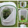 Collapsible Butterfly Habitat Pop-up Protection Net Durable Insect Cage