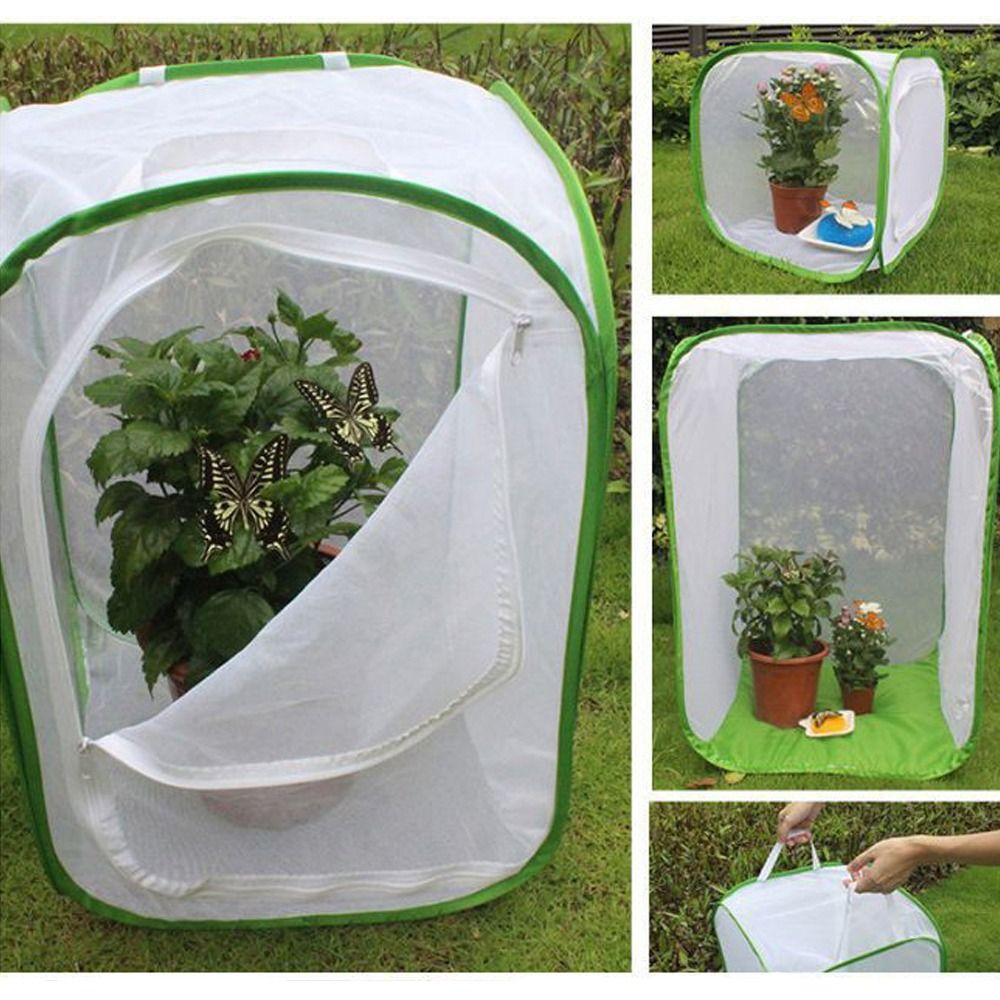 Collapsible Butterfly Habitat Pop-up Protection Net Durable Insect Cage
