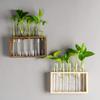 3/5 Reagenzglas Exquisite Hydroponische Glas Blumenvase mit Holzständer Schreibtisch Pflanzenvase für Heim Büro Dekoration
