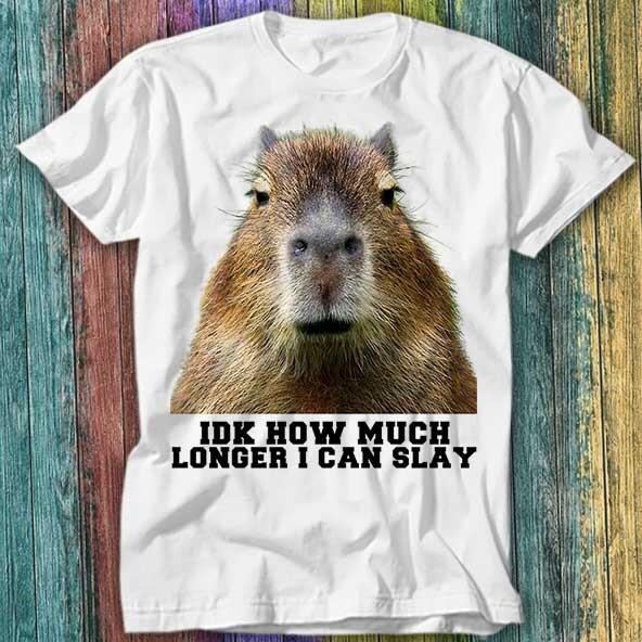 

Idk How Much Longer Opossum I Can Slay Capybara Sarcastic T Shirt Top Tee 176 4XL