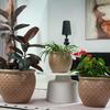 Single Handmade Ceramic Plant Pot (diameter 23 cm), Glossy Beige with Coin Relief, Breathable, Frost-Resistant, with Drainage Holes for Balcony Plants