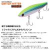 Daiwa Morethan Switch Hitter 120S+R