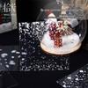 Shí Guāng Snow Series PET Stickers: Winter Snowflake & Scene Decorations for Journaling & Collage, 6 Styles