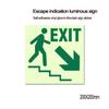 1 Sheet Glow-In-The-Dark Safety Exit Emergency Passage Sign Label Sticker Luminous Escape Direction Guide Sign Stickers