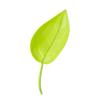 A2928 Flower Watering Device Creative Potted Leaf Type Diversion Watering Funnel Plant Diversion