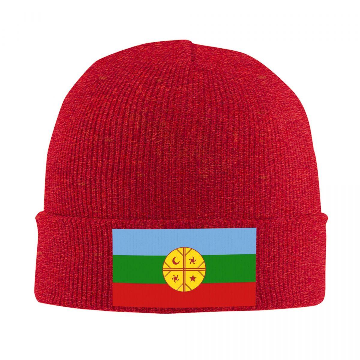 Mapuche Chile Argentina South America Warm Knitted Cap Fashion Bonnet Hat Autumn Winter Outdoor Beanies Hats for Unisex Adult One Size