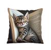 Vibrant Bohemian Style Short Plush Pillow Cover 45x45cm Charming Kitten Living Room Bedroom Decor (Pillow Insert Not Included)