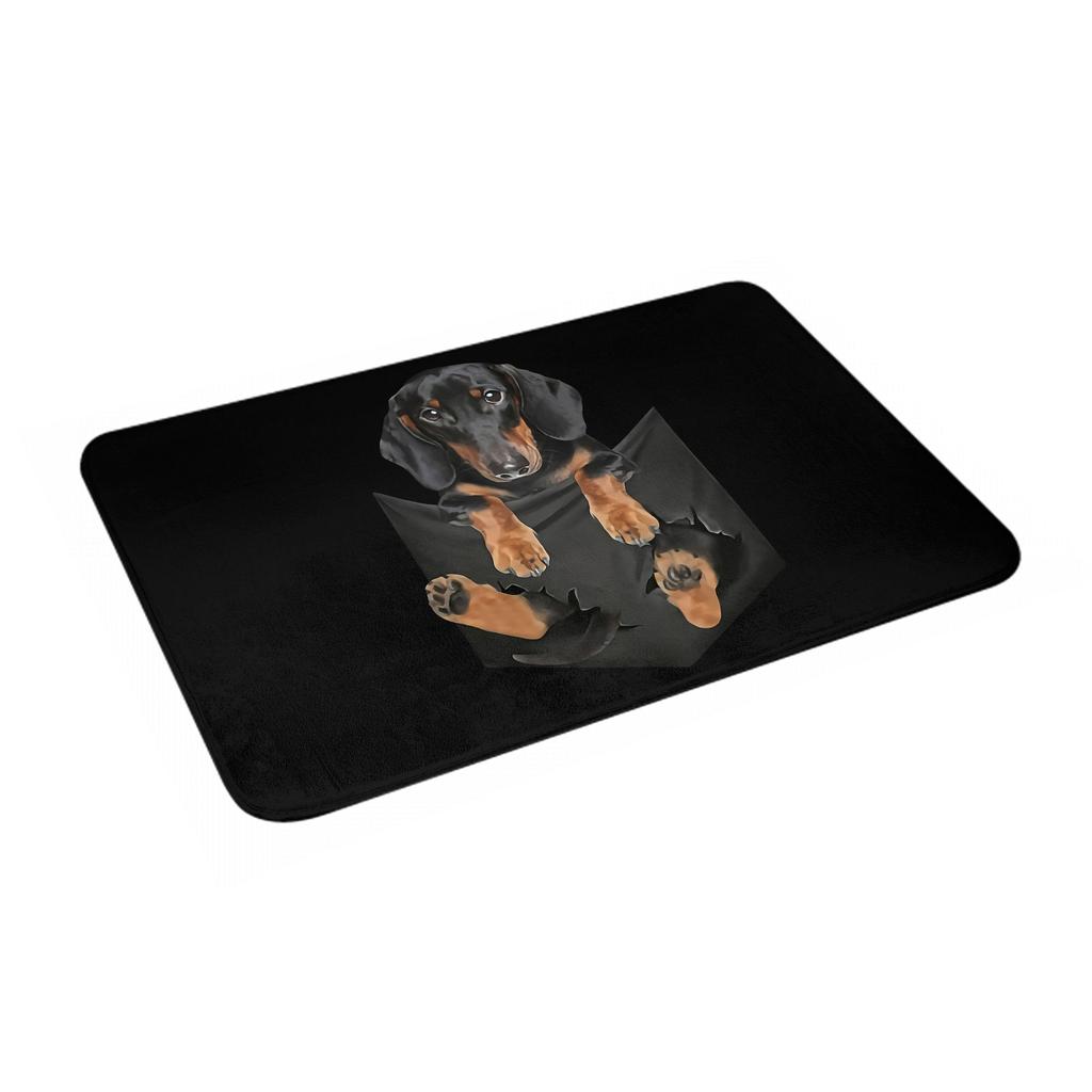 Funny Dachshund Front Door Mat Anti-Slip Indoor Absorbent Sausage Badger Wiener Dog Doormat Floor Bathroom Entrance Rug Carpet
