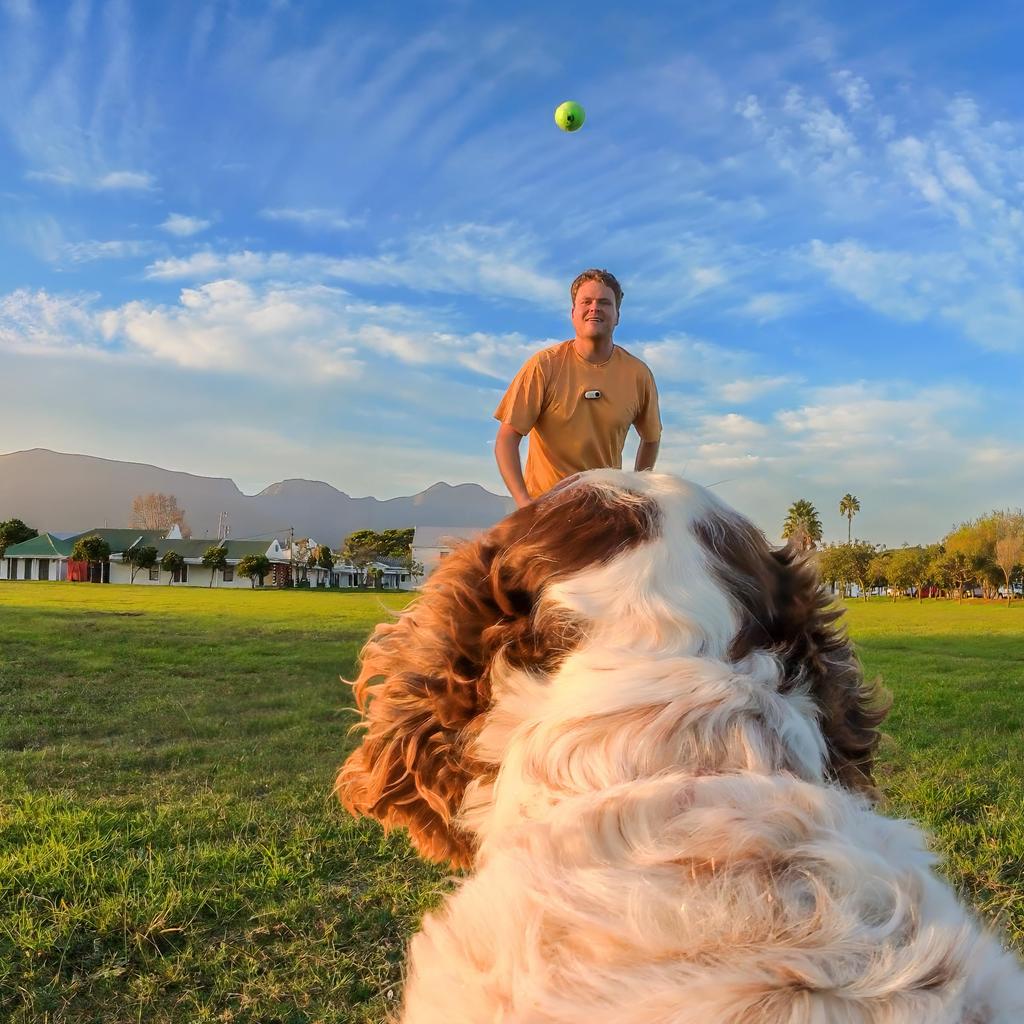 Insta360 GO 3S Pet Harness Mount Medium 3/GO