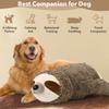 Sloth Zoo Puppy Dog Heartbeat Toy for Stress Alleviation and Soothing Assistance, Sleep Aid Crate Kennel Training Puppy Toy