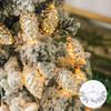 1.5M 10 Led Pine Cone Fairy Lights Christmas Decoration Festoon Tree Decor Christmas Lights New Year's String Lignts (Battery Not Included)