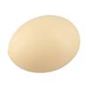 DIY Easter Eggs Fake Chicken Eggs Poultry Education DIY Easter Projects Smooth Edges Educational Purposes High Quality Plastic