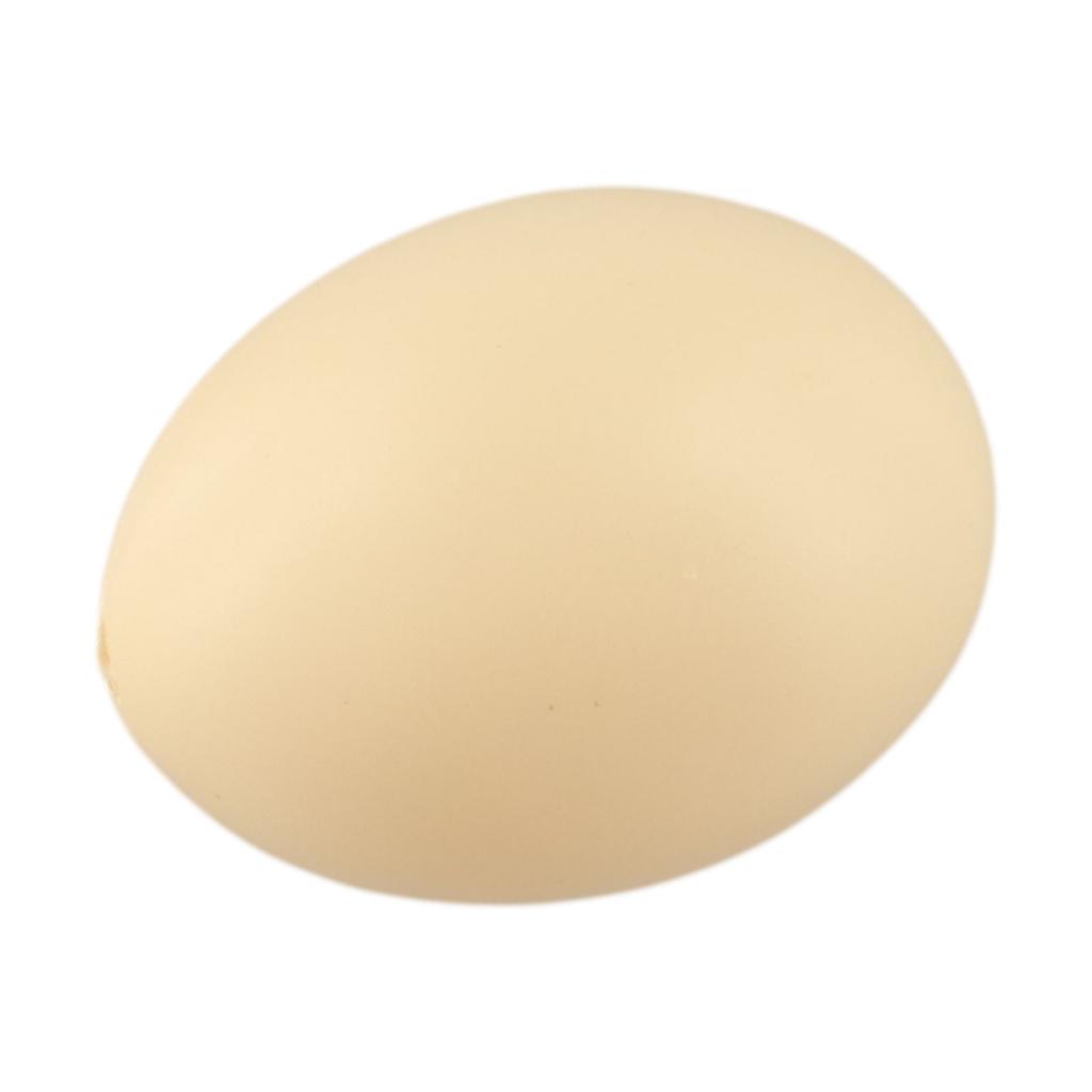 DIY Easter Eggs Fake Chicken Eggs Poultry Education DIY Easter Projects Smooth Edges Educational Purposes High Quality Plastic
