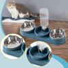 Double Bowl Pet Food Water Dish Feeder For Dog Cats Daily Feeding with Automatic Water Dispenser For Pet Dry Wet Food