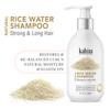 Kahira Rice Water Shampoo Strong & Long Hair Reduces Split-ends & Breakage Hair Growth Long Lustrous & Strong | For Oily Hair & Scalp Natural Mois