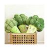 Cute Multi-functional Pillow Vegetable Broccoli  Plush Toys Soft Comfortable