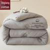 Muji Style 100% Xinjiang Cotton Winter Quilt