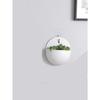 Hydroponics Wall Vase Green Dill Planter Basket Planter Home Garden Decorations