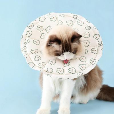 Kedi – Kedi bakım ürünleri