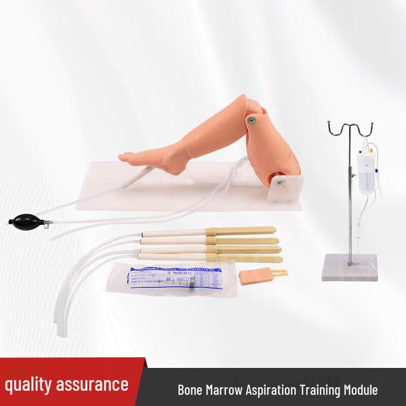 Adult Tibial Puncture & Bone Marrow Infusion Training Model