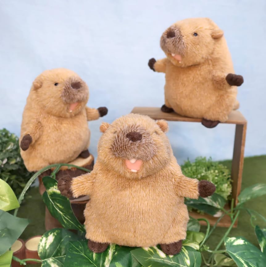 Naitou Design Continental Stroll Pochamaru Plush Toy S Suitable for Ages 6 and Up 19cm - (Marmot) - - Height Approx.