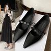 Coarse Heel Mary Jane Shoes Spring and Autumn Shoes New Pointed Small Leather Shoes Evening Silver Single Shoes Women