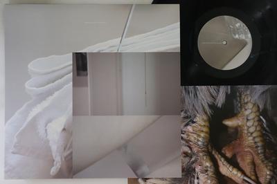 12inch Record DAMIEN DUBROVNIK - Vegas Fountain ALT020 Posh Isolation 2015 UK & Europ Dance & Electronica Used