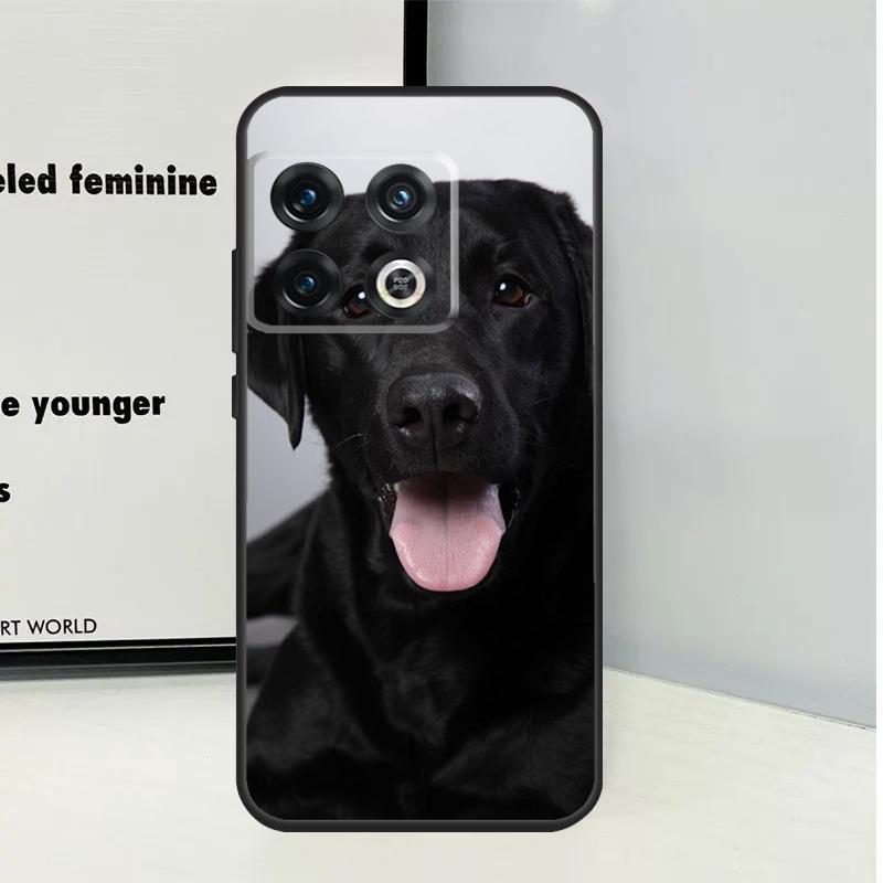 Black Labrador Dog Case For OnePlus Nord 3 2T N30 N20 N10 CE 2 Lite OnePlus 10T 12R 10R 8 9 10 Pro 11 12 Cover
