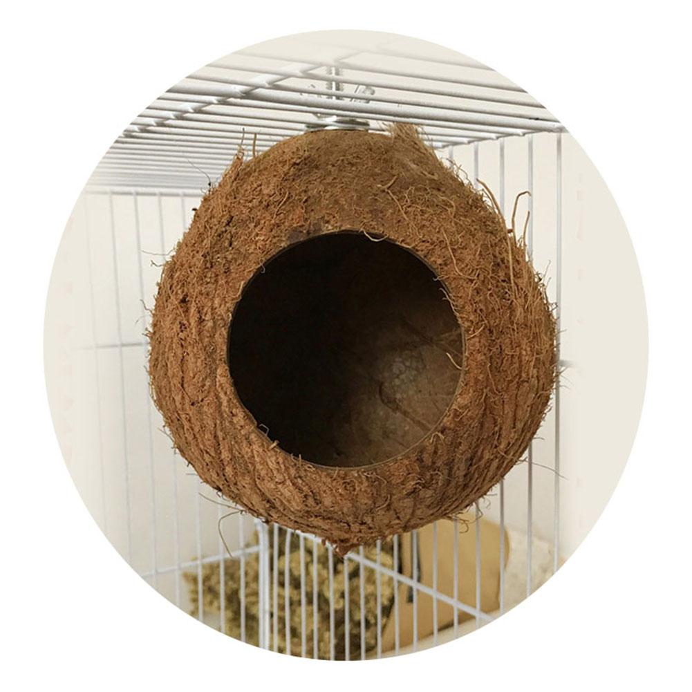 Pet Parrot Nest Natural Coconut Shell House Cage Feeder Parakeet Birds Hamster Toys