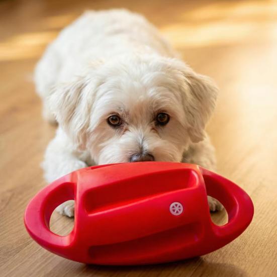 Rugby Ball Dog Toy Interactive Squeaky Chew Toy Tug of War Dog Toy with Dual Handles for Medium Large Dogs Fetch Outdoor Training