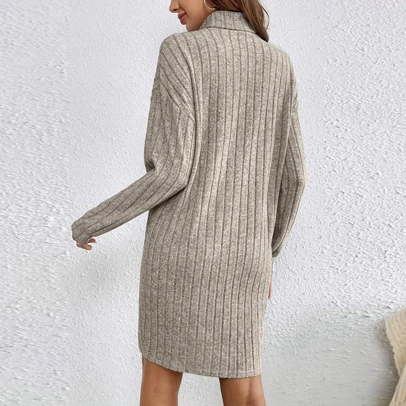 Women Autumn Winter Turtleneck Long Sleeve Dress Knee Length Top