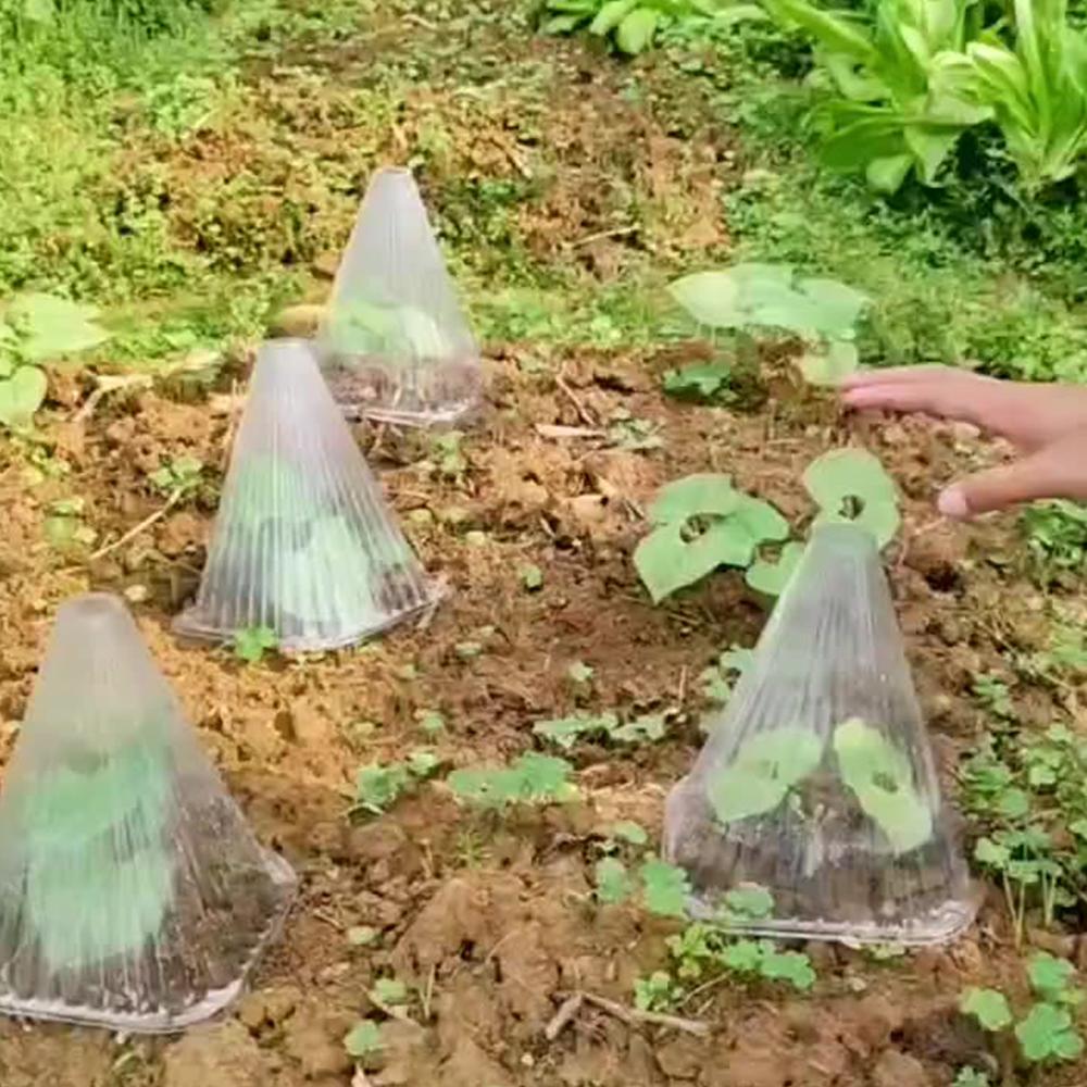 D5 20Pcs Garden Plant Cloches Cover Reusable Square Plant Growth Sunscreen Seedling Cover Greenhouse Plant Protection Cover