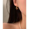 [Surgical] Twist Earrings E 108