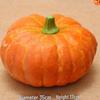 Large Artificial Pumpkin Decoration Prop